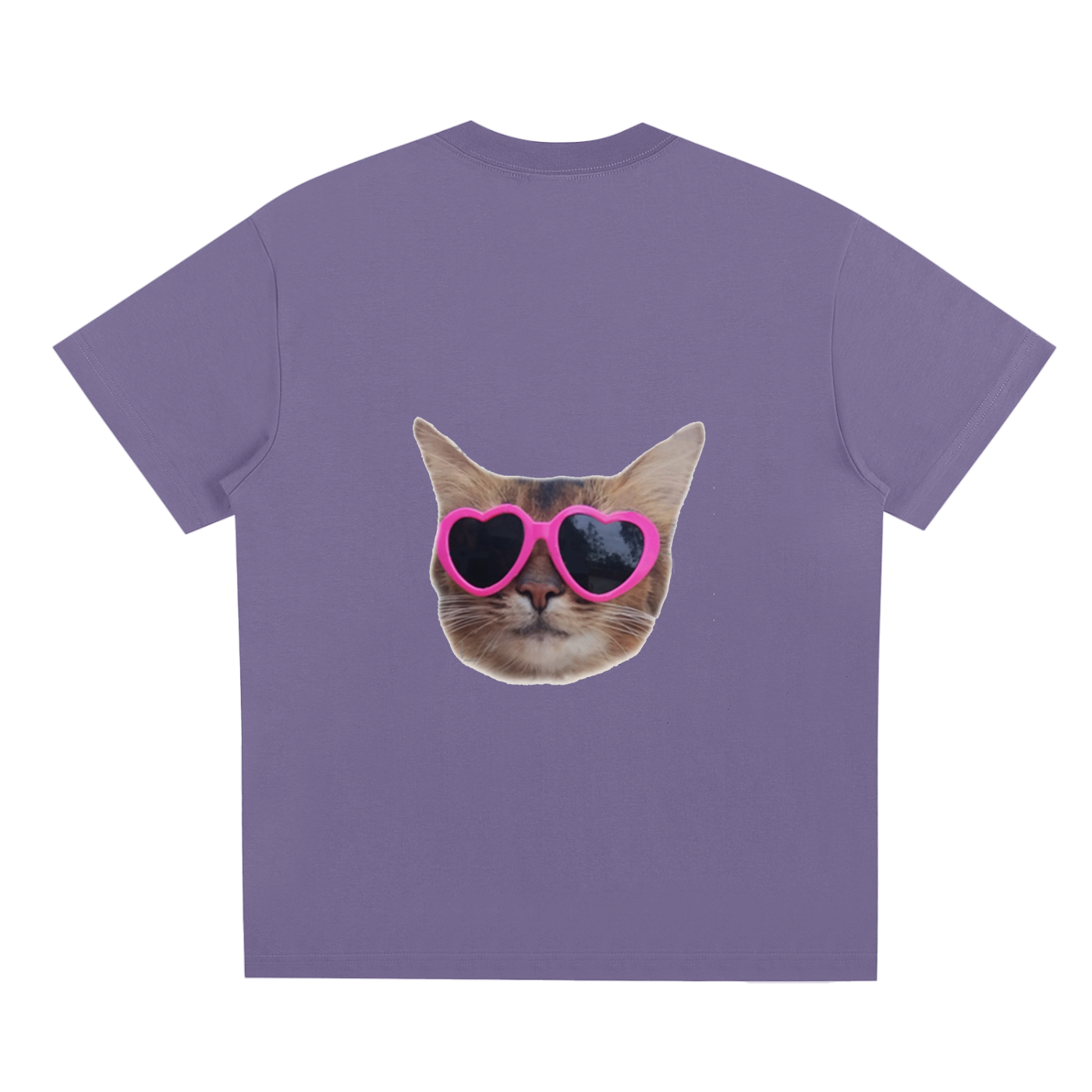 Silly Cat T-shirt