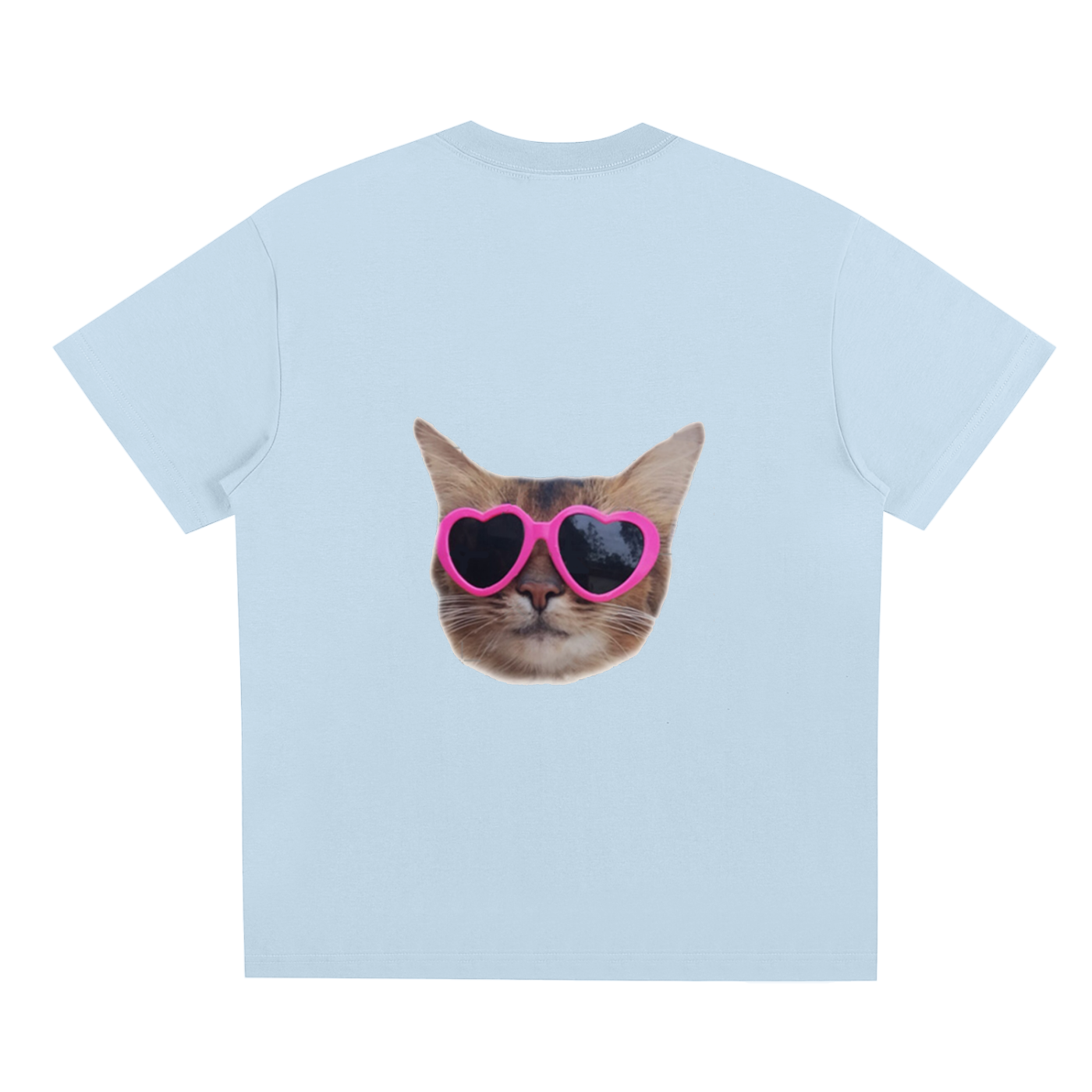 Silly Cat T-shirt