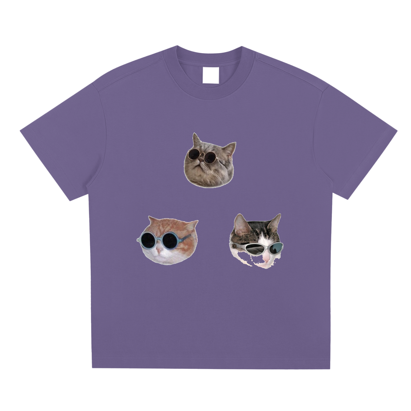Silly Cat T-shirt