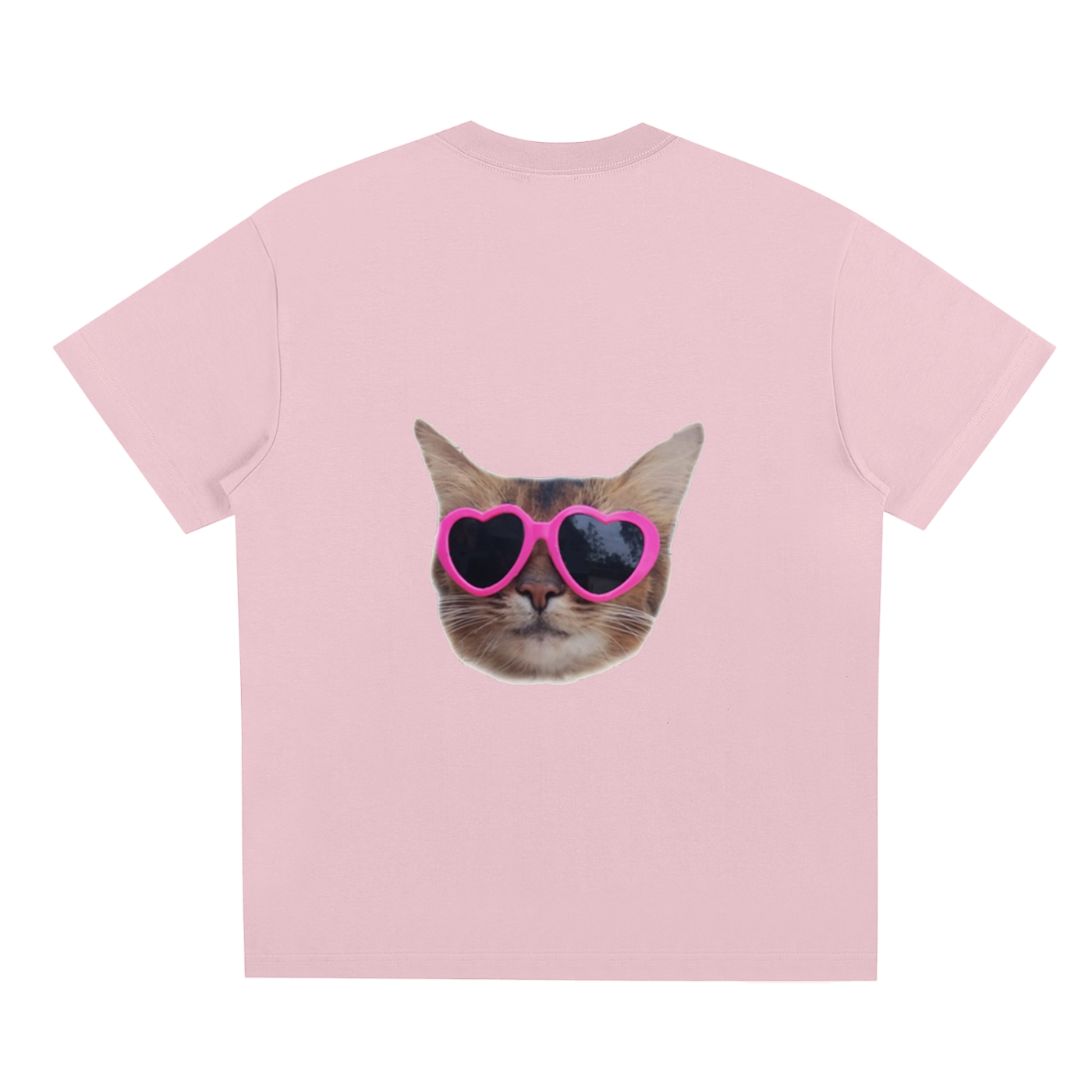 Silly Cat T-shirt